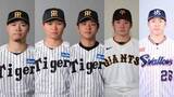 「セ月間MVP候補は？　阪神勢が投打に躍動　3完封の髙橋遥人は防御率“0.27”　4勝の山野＆竹丸も好成績　野手は佐藤輝明が打撃3冠＆森下翔太も好調」の画像1