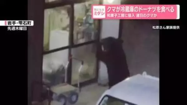 クマが冷蔵庫のドーナツを食べる　和菓子工房に侵入 連日のクマか　岩手・雫石町
