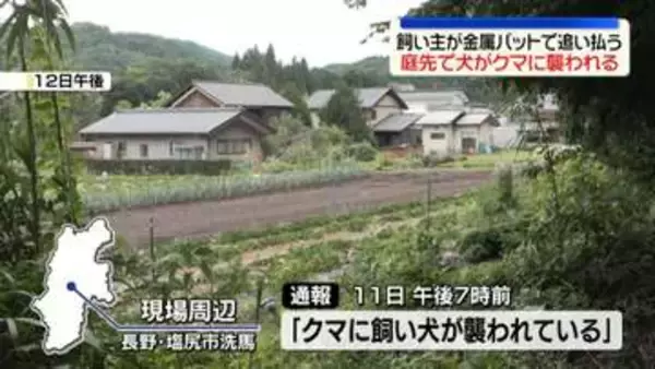 民家の庭先で犬がクマに襲われる　飼い主が金属バットで追い払う　長野・塩尻市