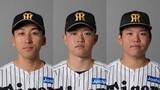 「【阪神】3選手の登録抹消　前日5失点の茨木秀俊や中川勇斗、嶋村麟士朗」の画像1