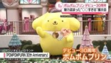 ポムポムプリン、デビュー30周年　“○○すぎる”魅力を展示　『ポムポムすぎるよ展』