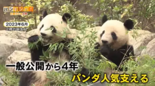 日本生まれ双子のパンダ　シャオシャオ、レイレイ涙と感謝の観覧最終日…ファン“最後の瞬間”まで【バンキシャ！】