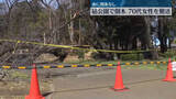 「砧公園で倒木　下敷きの70代女性軽傷　東京・世田谷区」の画像1