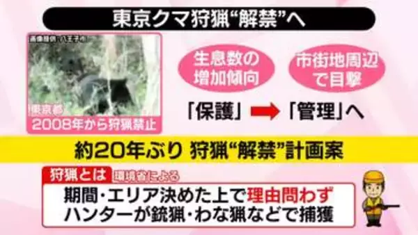 東京都、約20年ぶりにクマ「狩猟」解禁へ──“世界的にも珍しい首都”生息数は？　ハンティングもOK？【#みんなのギモン】