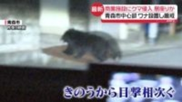商業施設にクマ侵入、現在も居座りか　ワナ設置…こう着状態が続く　青森市