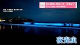 「青白く光る夜の海がSNSで話題　"夜光虫"でにぎわう湘南の海岸を取材」の画像1