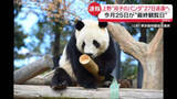 「【速報】上野動物園の双子パンダ、今月27日に中国へ出発　東京都が正式発表　最終観覧日は25日」の画像1