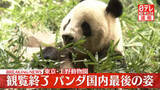 「上野動物園の双子パンダ、観覧終了　国内最後の姿」の画像1