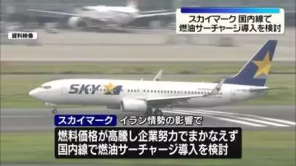 「スカイマーク、国内線で燃油サーチャージの導入検討」の画像