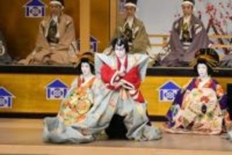 尾上左近改め三代目尾上辰之助、襲名披露で挨拶「一層芸道に精進」　七代目尾上菊五郎らが口上述べる