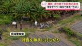 「韓国・済州島で失踪者の遺体　警察官がウソ報告で捜査打ち切り…職務放棄疑いで逮捕」の画像1