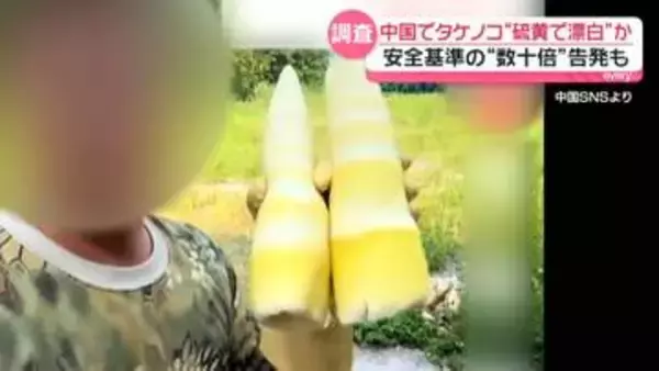 中国でタケノコを“硫黄で漂白”か　安全基準の“数十倍”告発も　地元当局が調査中
