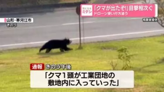 クマ目撃、1日で少なくとも5件　ドローン使い行方追う　山形・寒河江市