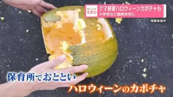 クマ被害ハロウィーンカボチャも　小学校など臨時休校に