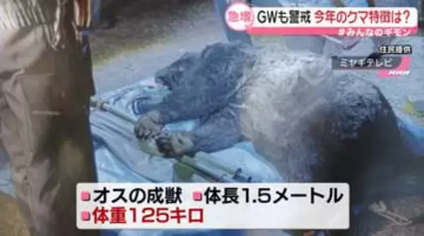 クマの被害相次ぐ　冬眠明けでも「100キロ超」ナゼ　温暖化が影響？…専門家「目覚めるのが毎年早く」【#みんなのギモン】