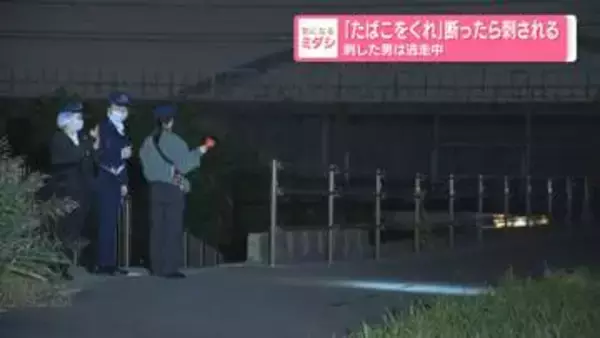 面識ない男から「たばこをくれ」断った男性が刺される　現在も逃走中　東京・江戸川区