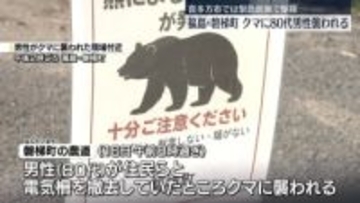 80代男性がクマに襲われる　福島・磐梯町　喜多方市では緊急銃猟による駆除