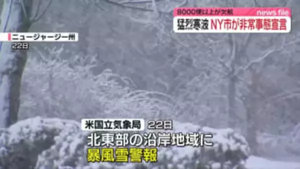 猛烈寒波　アメリカ・ニューヨーク市などで非常事態宣言　8000便以上のフライト欠航も