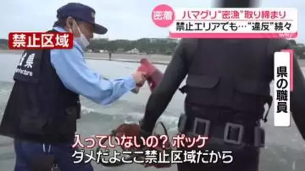 ハマグリ“密漁”取り締まり　違反者続出…「わからなかった」あきれた言い訳も