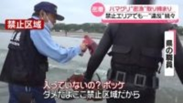 ハマグリ“密漁”取り締まり　違反者続出…「わからなかった」あきれた言い訳も