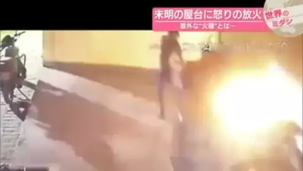 未明の屋台に怒りの放火　意外な“火種”とは…　インド【 #世界のミダシ 】