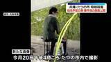 「兵庫・親子殺害事件　指名手配の男の新画像を公開」の画像1