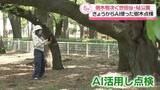 「都立公園で倒木相次ぐ…きょうからAI使った樹木点検」の画像1