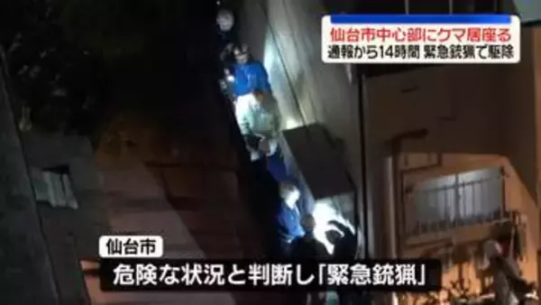 仙台市中心部の住宅地に居座っていたクマ　緊急銃猟で駆除　通報から14時間