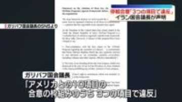 停戦合意「3つの項目で違反」イラン国会議長が声明