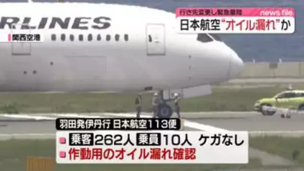 羽田発伊丹行き日航機、行き先変更し関空に緊急着陸　油圧系統トラブル