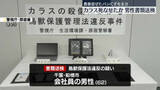 「農薬混ぜたパンくずでカラス死なせたか　62歳男性を書類送検」の画像1