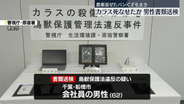 農薬混ぜたパンくずでカラス死なせたか　62歳男性を書類送検