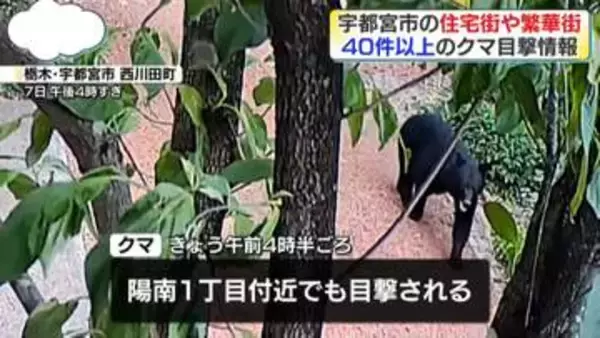 40件以上…宇都宮市の住宅街周辺などでクマ目撃情報相次ぐ　行方わからず警察などが警戒