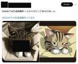 「人気加工アプリ「SNOW」ステマ違反で措置命令　PR表示せず消費者庁」の画像1