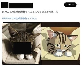 人気加工アプリ「SNOW」ステマ違反で措置命令　PR表示せず消費者庁