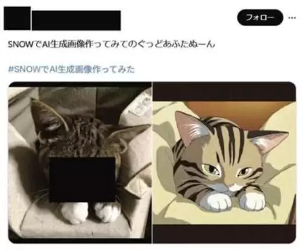人気加工アプリ「SNOW」ステマ違反で措置命令　PR表示せず消費者庁