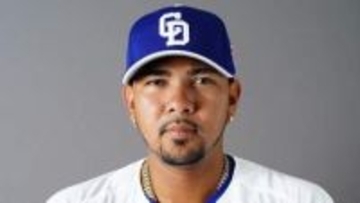 【中日】2番手・メヒアがサンタナの一発浴びる…7回に同点に追いつくも直後に勝ち越しを許す