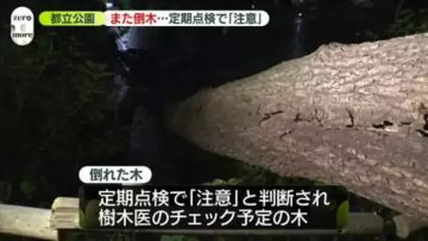 善福寺公園で倒木…定期点検で「注意」　東京・杉並区