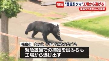 男女4人被害“居座りクマ”工場から逃げる　福島市