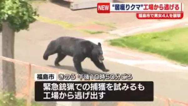 男女4人被害“居座りクマ”工場から逃げる　福島市