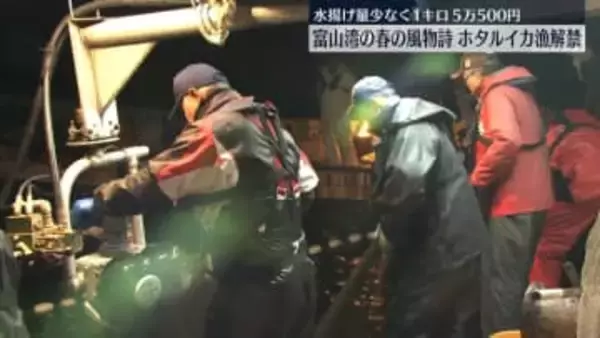 富山湾の春の風物詩「ホタルイカ漁」解禁　水揚げ量少なく1キロ5万500円