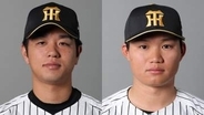 【セ・リーグ6月度月間MVP】阪神が両リーグ初の快挙　3カ月連続投打同時受賞　4完封10勝で3連続受賞の髙橋遥人＆6月打率.359の森下翔太