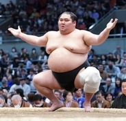 【大相撲】元前頭・大奄美など8人の力士が引退　令和8年一月場所