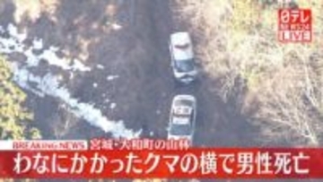 【速報】わなにかかったクマの横で男性死亡　宮城・大和町