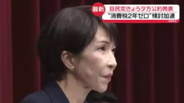 自民党きょう夕方に公約発表　飲食料品“消費税2年ゼロ”検討加速