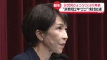 自民党きょう夕方に公約発表　飲食料品“消費税2年ゼロ”検討加速