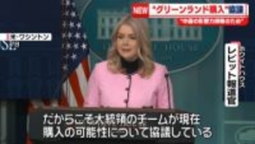 米ホワイトハウス報道官“領有は中露の影響力排除のため”グリーンランド購入の可能性協議