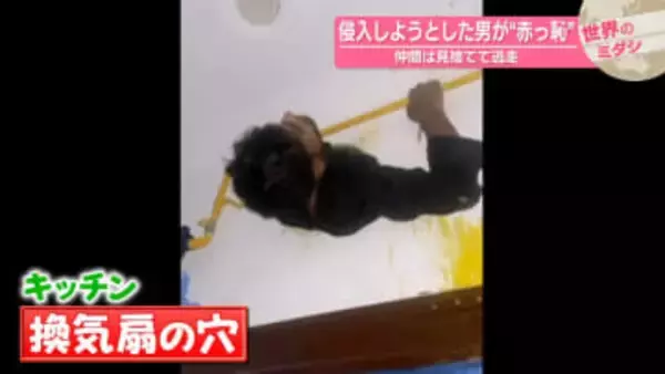 壁から飛び出す上半身…侵入しようとして“赤っ恥”　インド【 #世界のミダシ 】