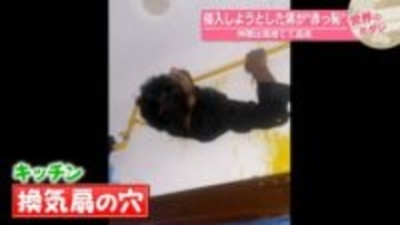 壁から飛び出す上半身…侵入しようとして“赤っ恥”　インド【 #世界のミダシ 】