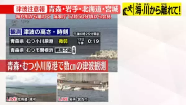 青森・むつ小川原港で微弱の津波　高さ数センチ程度を観測　気象庁